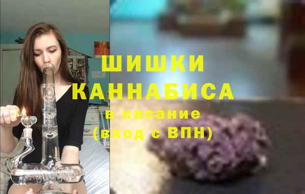 шишки Кинешма