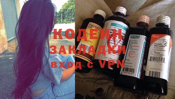 шишки Козельск